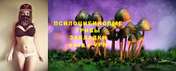 скорость Алзамай