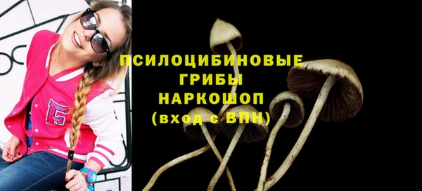 скорость Алзамай