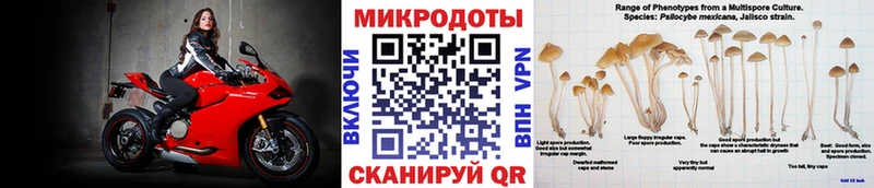 MEGA сайт  Красноуральск  Псилоцибиновые грибы MAGIC MUSHROOMS  как найти закладки 